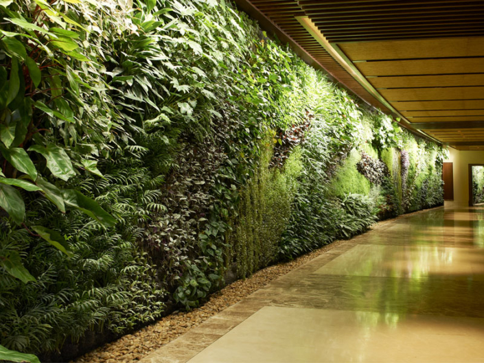 Top Living Wall Designs: Greening Your Space with Style - Builder Boy